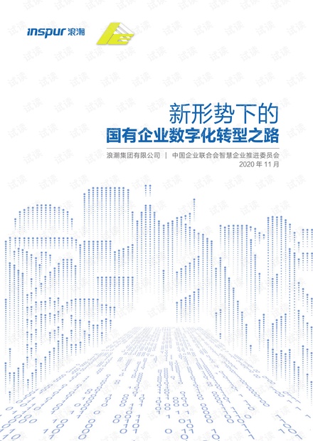 浪潮《新形势下的国有企业数字化转型之路》白皮书.pdf