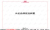 长虹品牌规划纲要.ppt