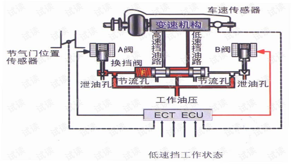 0008-38d6d6425930ee785f383f0ebb1f3bac_preview-wide.png