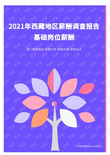 2021年薪酬报告系列之西藏地区薪酬调查报告.pdf .pdf