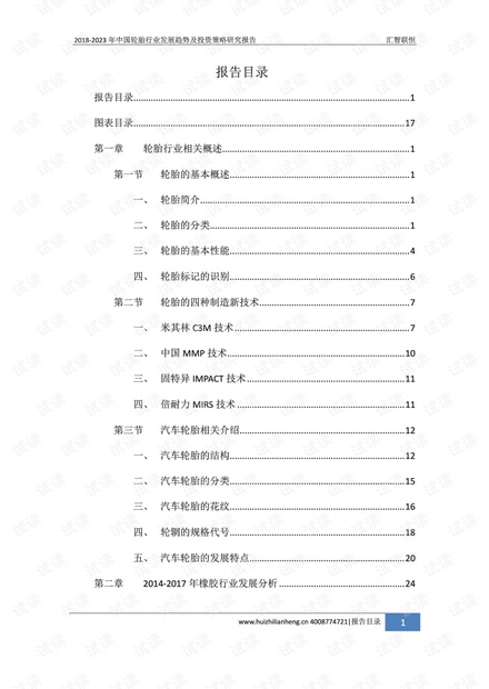 2018-2023年中国轮胎行业发展趋势及投资策略研究报告.pdf