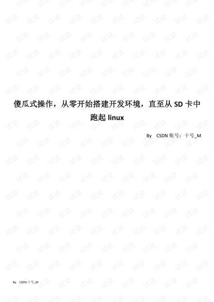 荔枝派nano-从零开始--跑起linux.pdf