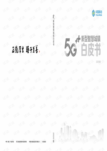 5G新型智慧城镇白皮书2020年