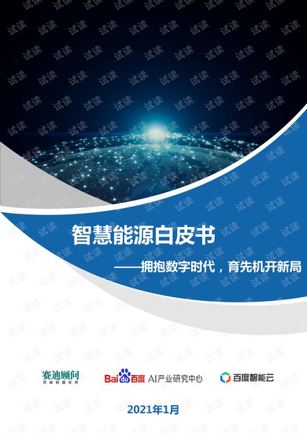 智慧能源白皮书.pdf