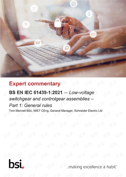 BS EN IEC 61439-1-2021 Expert Commentary.pdf