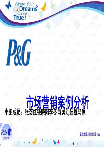 市场营销案例分析(ppt33张).pdf