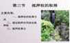 担保法PPT课件 抵押权第三节.ppt