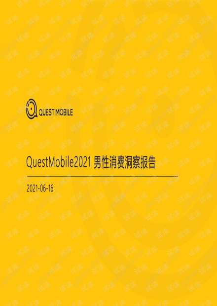 2021男性消费洞察报告.pdf
