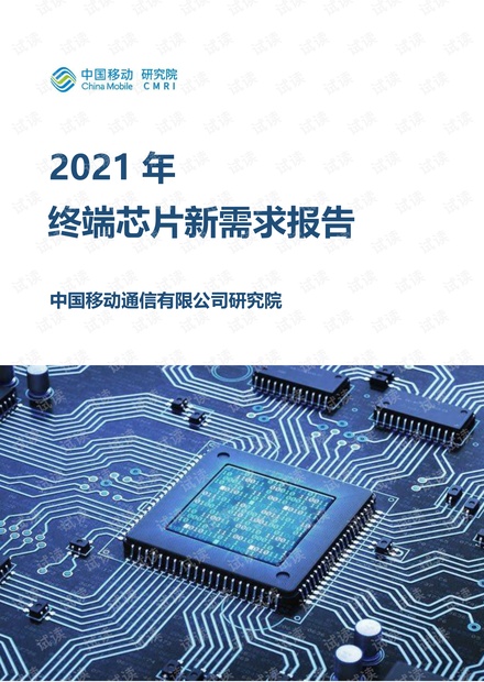 终端芯片新需求报告2021年版.pdf