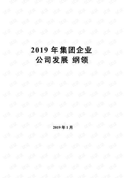 2019年集团公司公司发展纲领.pdf