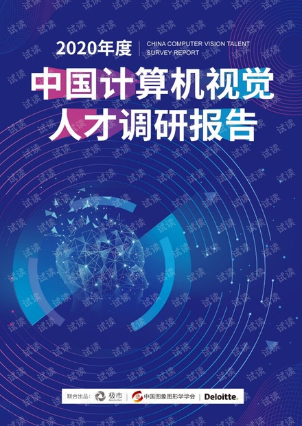 中国计算机视觉人才调研报告2020年.pdf.pdf