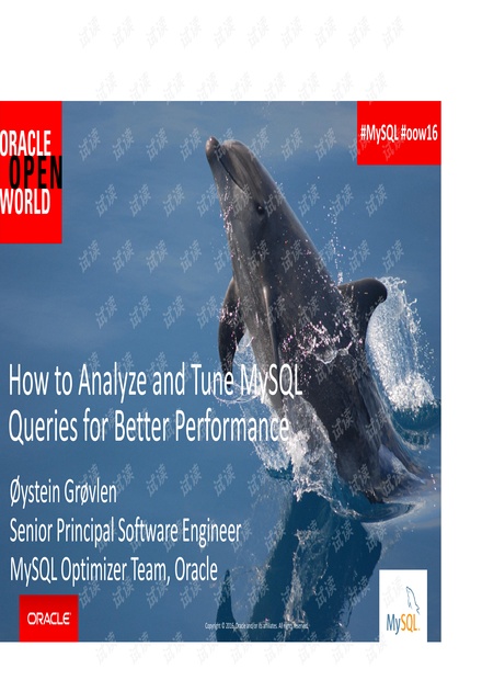 mysql_pn_performance_queries.pdf