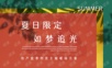 2021地产项目夏季创意主题暖场“夏日限定 如梦追光”活动策划方案【夏季活动】