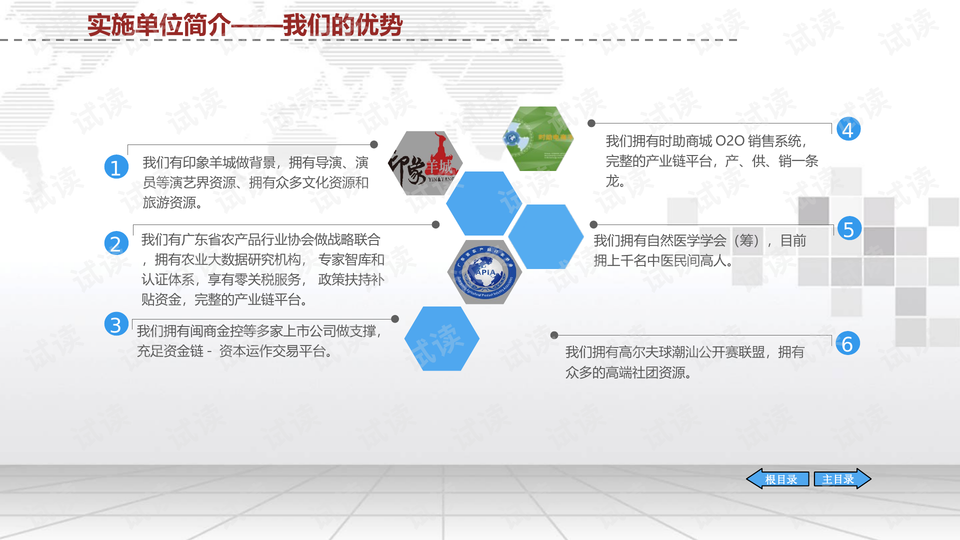 项目策划方案ppt 0011-1e15ecf20a7ffacf3c32d3ebf2275631_preview-wide.png