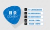 网红产品直播营销整体解决方案.ppt