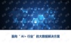AI+行业大数据解决方案.ppt