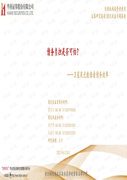 20210624-华西证券-卫星夜光数据看债务效率:债务负担是否可怕?.pdf