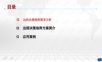 智慧城市远程决策指挥系统解决方案.ppt