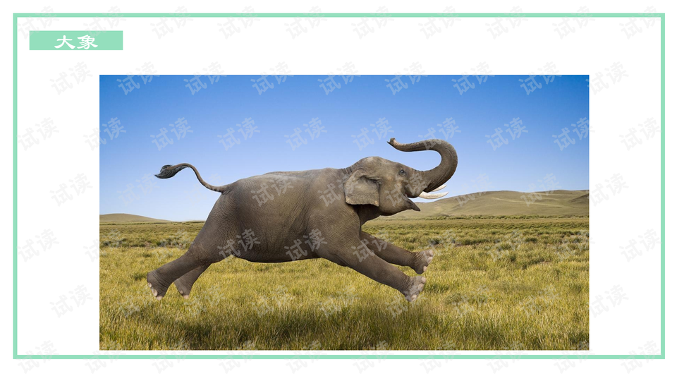 0003-03698ca5ec6b7a5000c03f3f6d2064d4_preview-wide.png