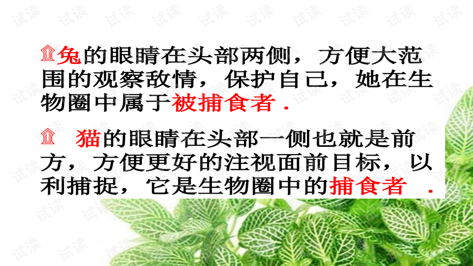 0013-cd6cac8d3d60ed28c79c70e7d76d5651_preview-wide.png