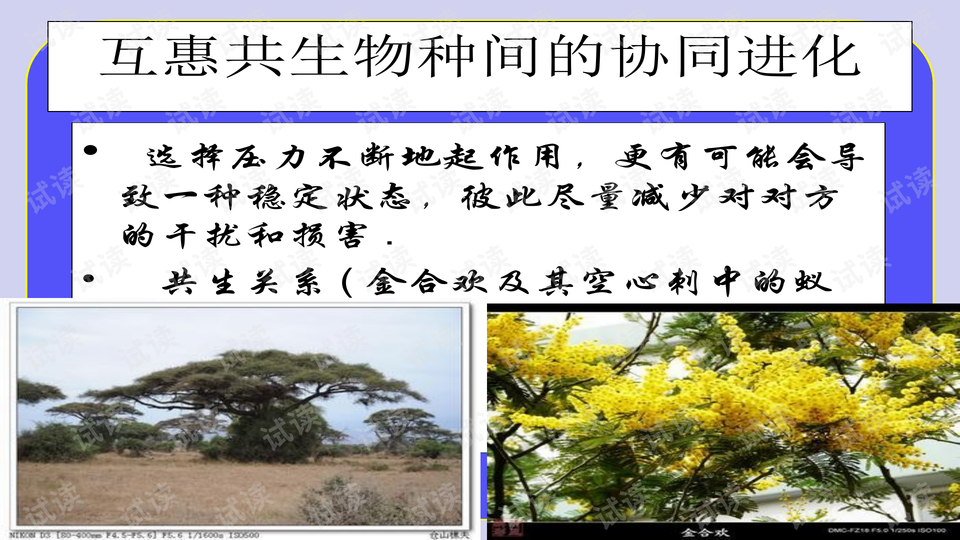 0017-8b55d6efce7c3e021f1f943519e6f928_preview-wide.png