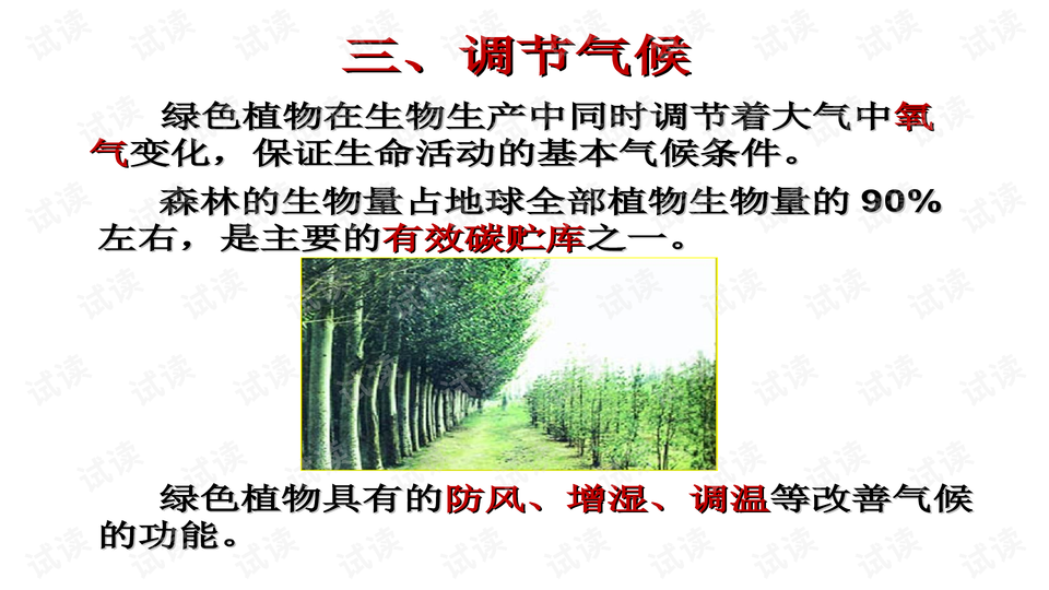 0010-bbd25f725e40253588e2495e8daade76_preview-wide.png
