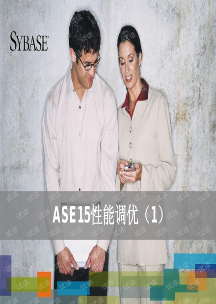 sybase ASE15性能调优(1)