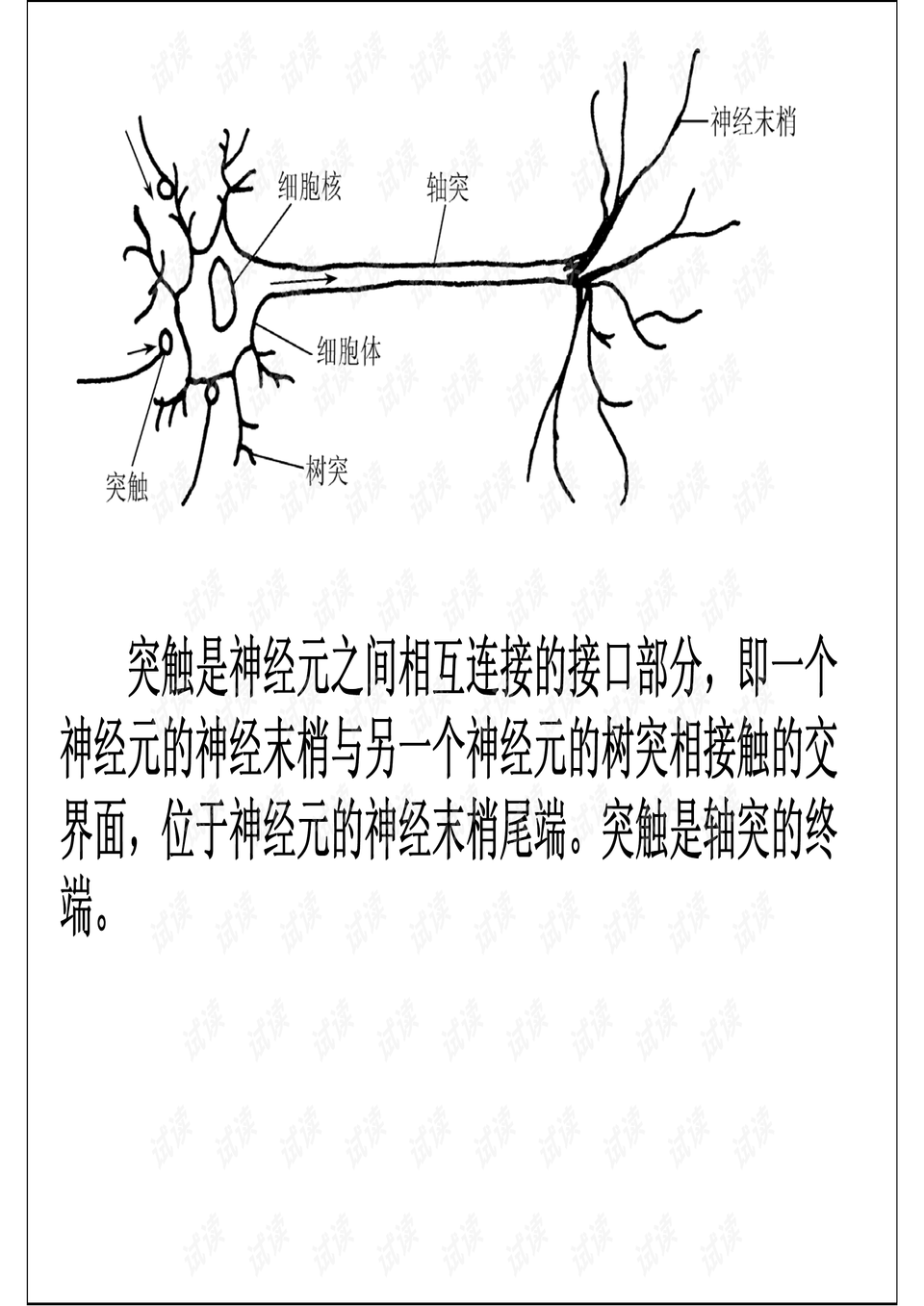 人工神经网络 课件 例题