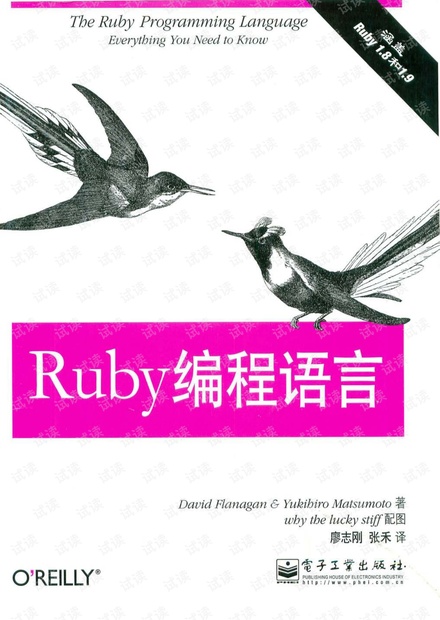 Ruby编程语言.pdf