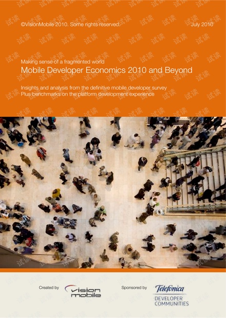 Mobile Developer Economics 2010 Report+FINAL