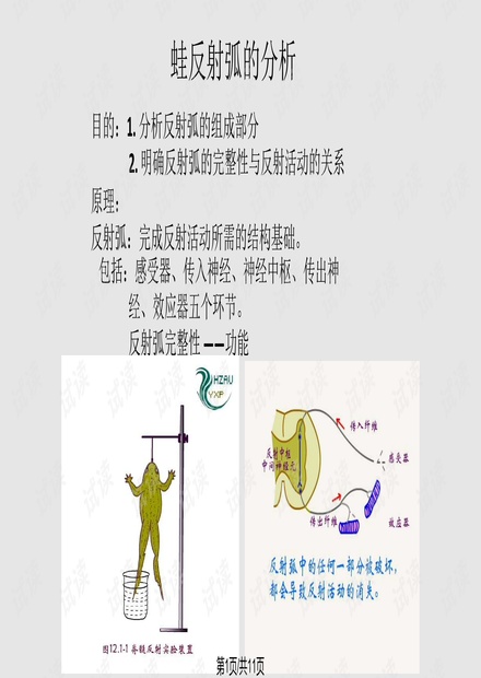 0001-ef4c2c831285b0e628f91a13f6e004f6_thumbnail.jpeg