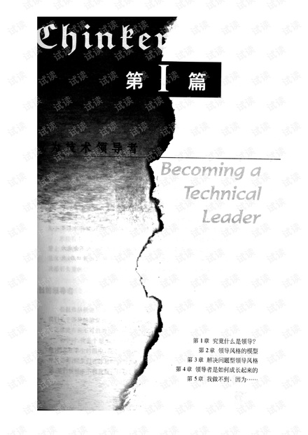 技术领导之路:全面解决问题的途径