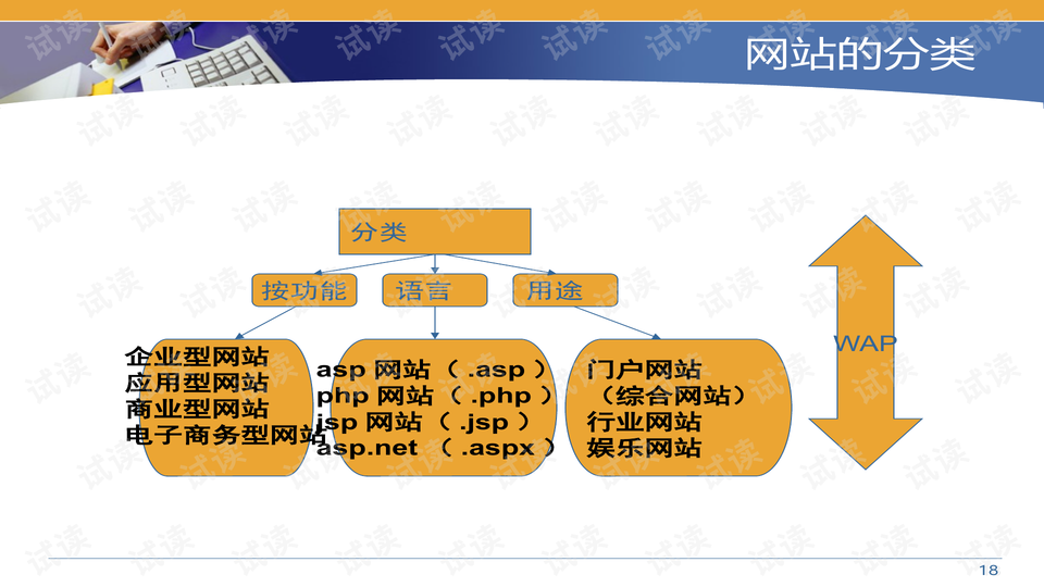 0018-b316a2995ce15221351b2e64539c2025_preview-wide.png