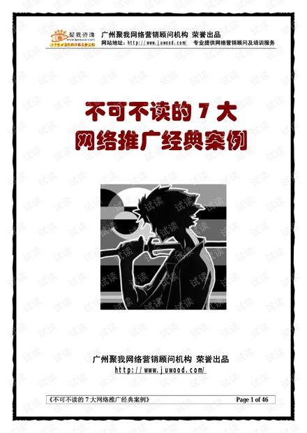 七大网络推广经典案例