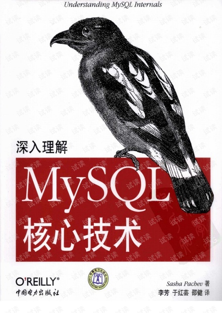深入理解MySQL核心技术_中文版.pdf