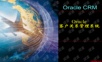 Oracle客户关系管理系统