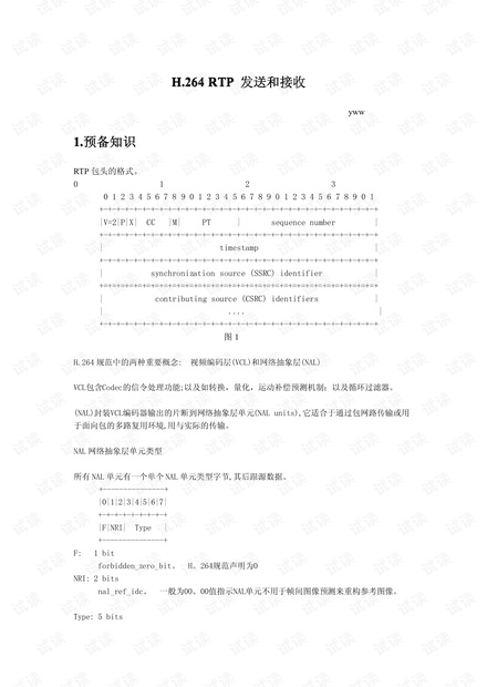 H264 RTP 发送和接收
