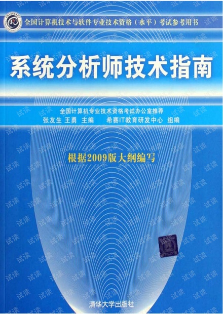 2009年版:系统分析师技术指南