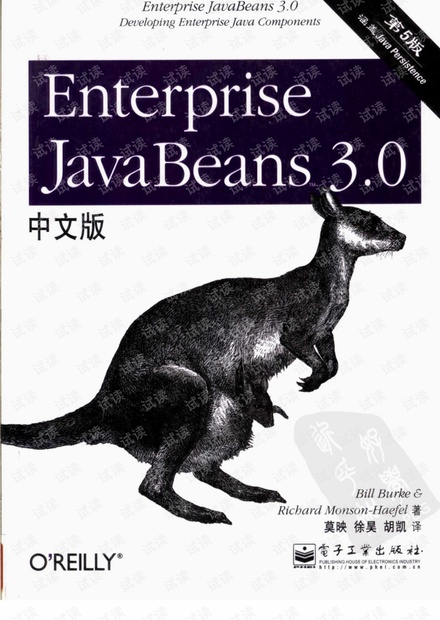 Enterprise JavaBeans 3.0 第五版.pdf