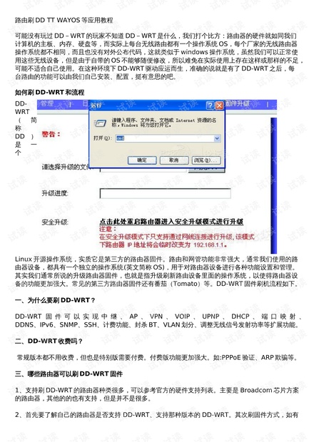 路由刷DD_TT_WAYOS等应用教程