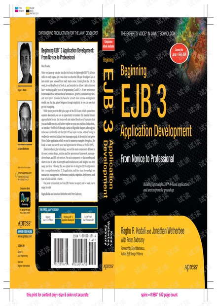 Beginning EJB3