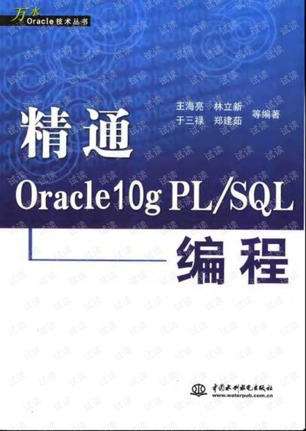 精通oracle 10g编程
