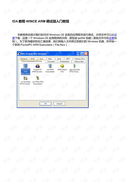 IDA教程-WinCE ARM调试器入门教程.pdf