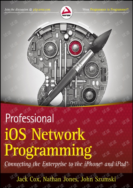 Professional iOS Network Programming 2013