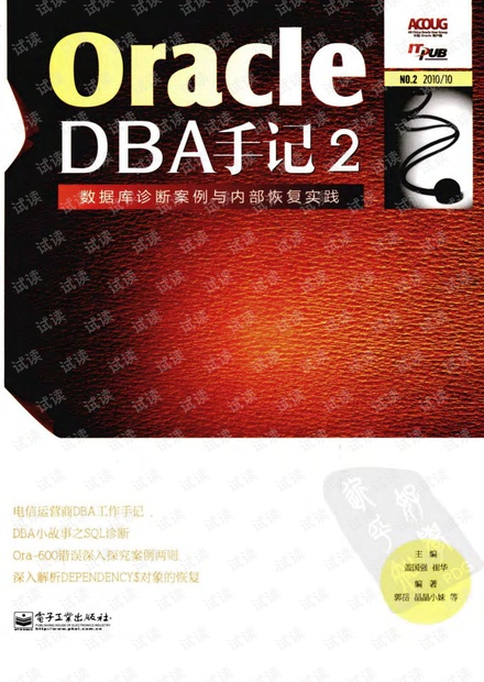 Oracle DBA手记2:数据库诊断案例与内部恢复实践--详细书签版