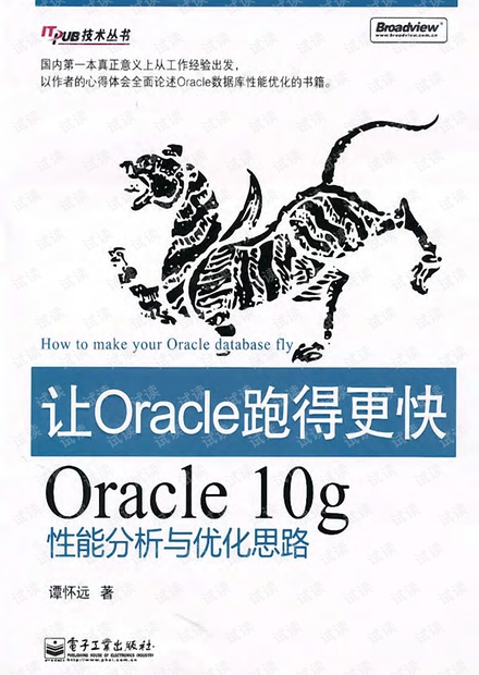 让Oracle跑得更快:Oracle10g性能分析与优化思路--详细书签版