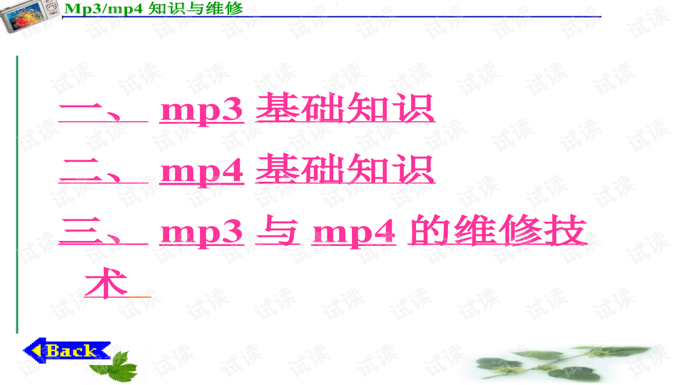 0002-f48280ee9c61dea57d80290d92fdd1ba_preview-wide.png