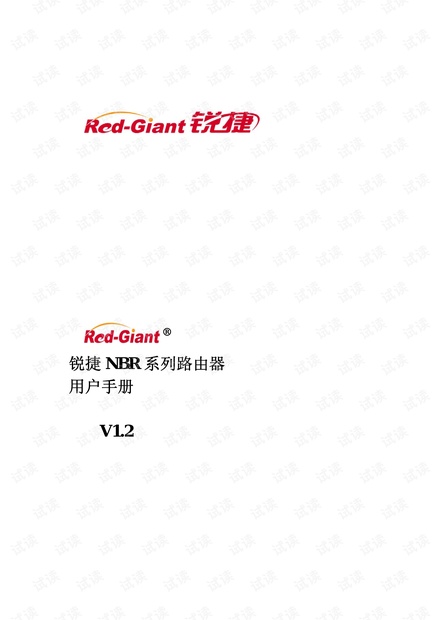 锐捷NBR系列路由器用户手册.pdf