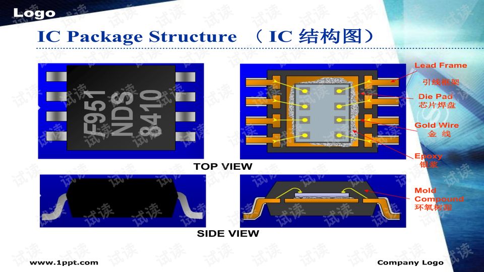 0008-302e887bdf978f6e44731f1e0aa8df40_preview-wide.png
