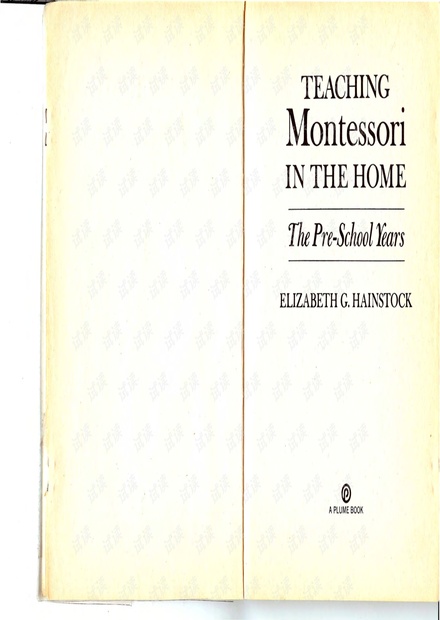 Teaching Montessori In The Home The Pre-School Years